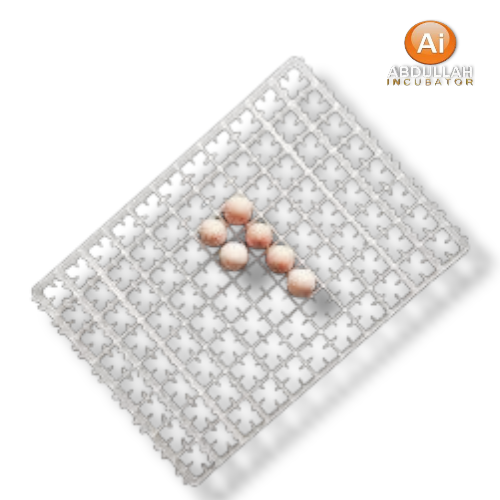 1 piece Egg Setter Tray 88 for Chicken Egg Incubator  price in bangladesh