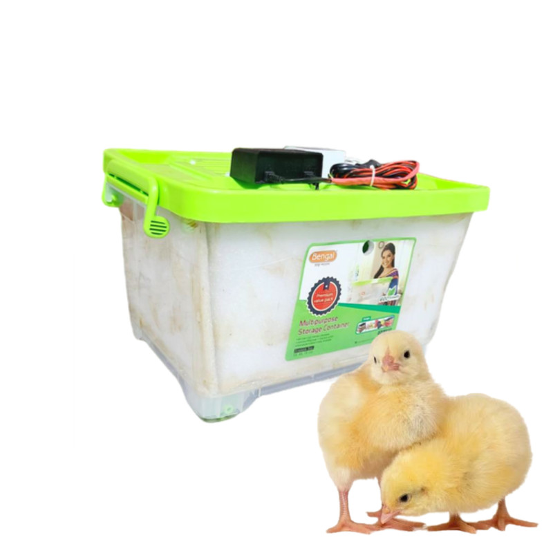 Abdullah incubator incubator price in bangladesh incubator egg