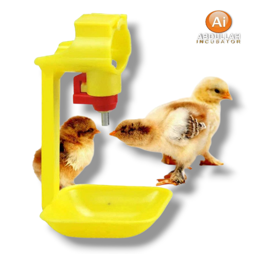 1 pcs Poultry Waterer Drinking Cups For Chicken  price in bangladesh