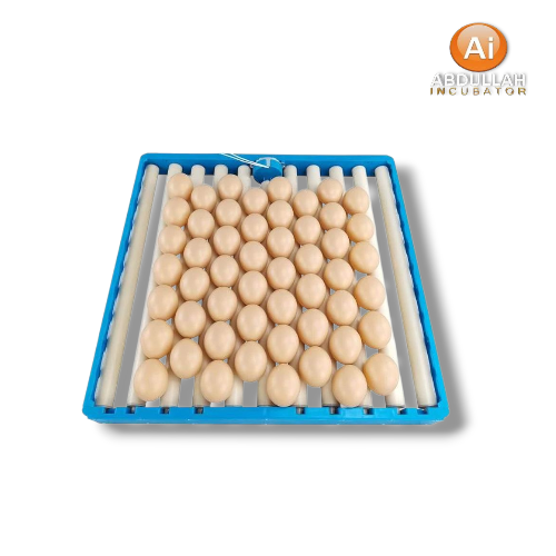 OUCHEN উচ্চ মানের 60 - 70 রোলিং ট্রে সরবরাহকারী প্লাস্টিক ডিম ট্রে তৈরির মেশিন ইনকিউবেটর ডিম ট্রে মোটর 220V সহ