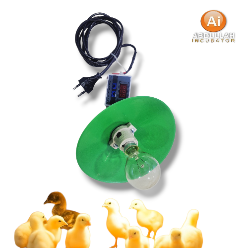 অটো বাচ্চা বুডার - হাঁস মুরগির বাচ্চা ব্রুডিং - Duck and chicken Auto Brooder