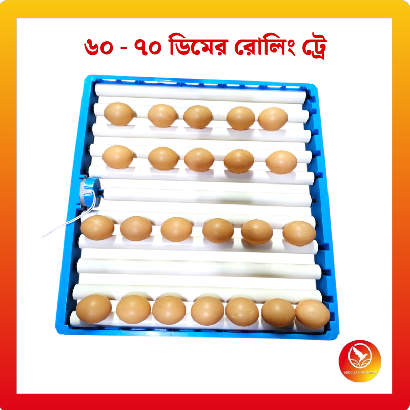 OUCHEN উচ্চ মানের 60 - 70 রোলিং ট্রে সরবরাহকারী প্লাস্টিক ডিম ট্রে তৈরির মেশিন ইনকিউবেটর ডিম ট্রে মোটর 220V সহ